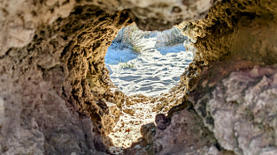 pexels-tatianatz-29340422